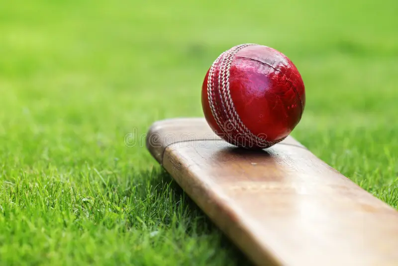 Cricket Team